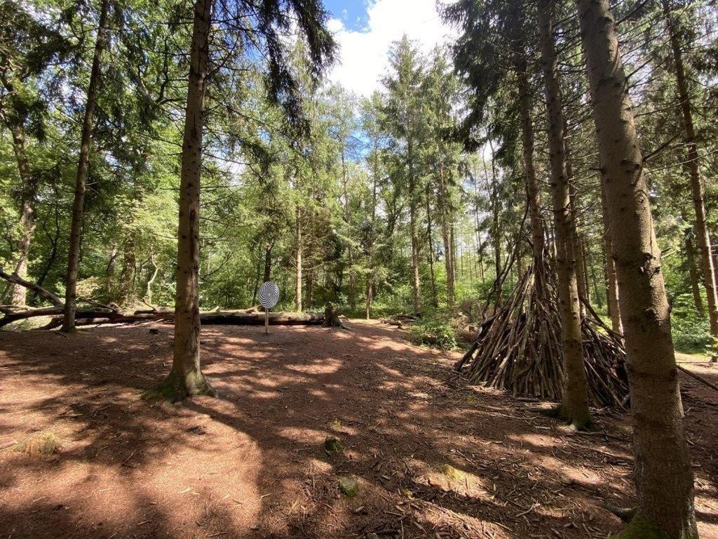 Ferienhaus Seestern am Harkebrügger See mit Sauna und Kamin Barssel  Exterior foto